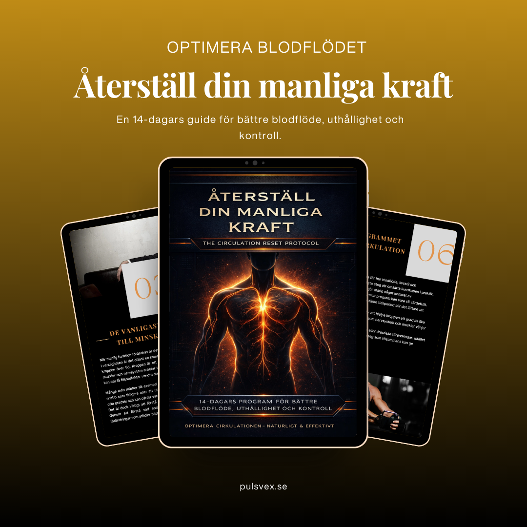 E-bok - Återställ din manliga kraft